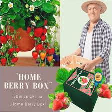 Home Berry Box - hausgemachte Erdbeeren - Amazon -  preis - bestellen 
