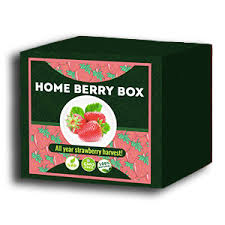 Home Berry Box - Bewertung - Kommentatoren - Inhaltsstoffe
