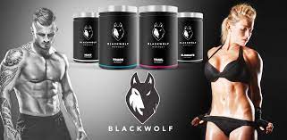 Blackwolf - bewertung - Stiftung Warentest - erfahrungen - test