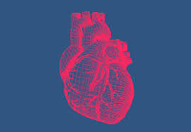 Cardio NRJ – Aktion - anwendung – inhaltsstoffe
